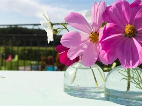 Le Clos Marie Langeais Dış mekan fotoğraf